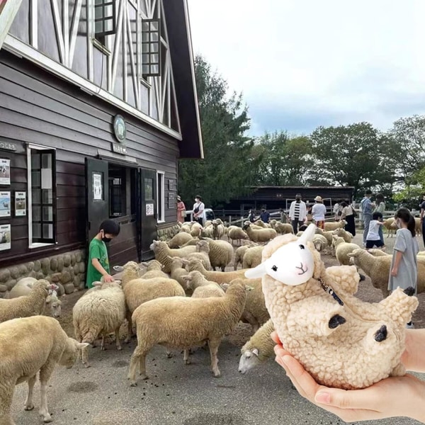 Kawaii plysj, barbert sau, morsomt lam plysjdyr, søt plysj, sovende kjæledyrvenn, beste bursdagsgave for kvinner jenter gutter