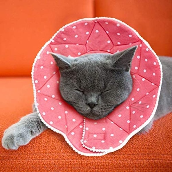 Bekväm för både postoperativa katter och hundar, robust, vattentät, reptålig och bitsäker, med justerbar fästanordning för halsband.