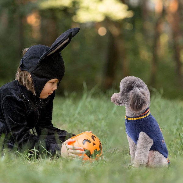 Hund Halloween Tröja Höst Vinter Turtleneck Stickad Varm Valp Kläder Outfits Semester Rolig Pumpa Husdjur Kostymer  (M, Marinblå)