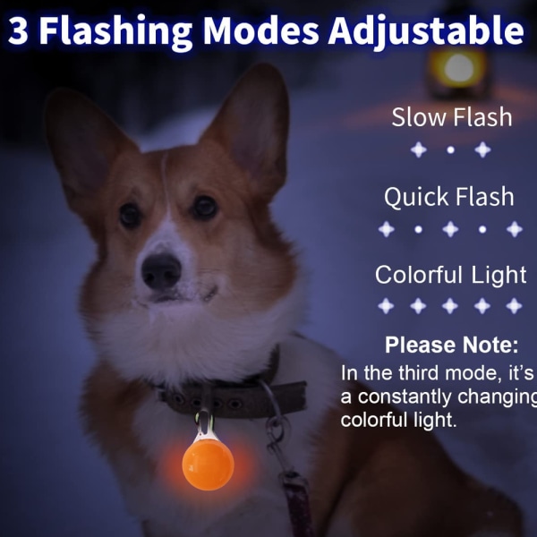 LED-säkerhetsljus för hundar, clip-on LED 3 ljuslägen hundljus för nattpromenader och camping