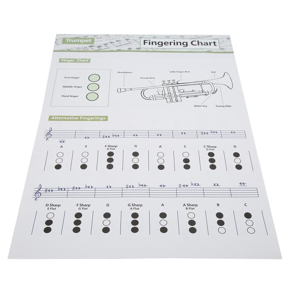 Trumpet Chord Chart Fingering Sheet Music Musical Instrument Reference Guide for Home Class Large