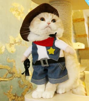 Cowboy kostume til hund med hat, hundetøj, kostumer til katte og små hunde