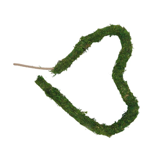 Natural Moss Pole Bendable Moss Plant Pole Plant Climbing Tool for Potted Plants