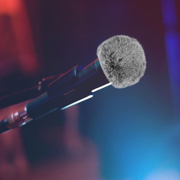 Furry Windshield Microphone Muff Soft Comfortable Artificial Fur Wind Protection Outdoor Audio Recordings
