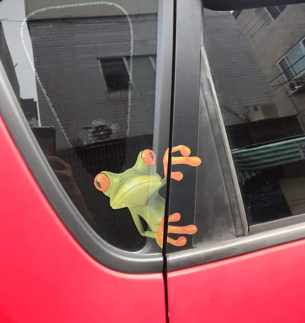 5 st 3D Söta Peep Groda Roliga Bilstickers Lastbilsfönster Vinyl Dekal