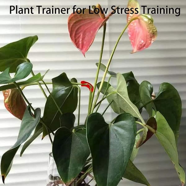 90 Degree Plant Bender, Plant Trainer for Low Stress Training Growth, Control Your Plant Growth -B