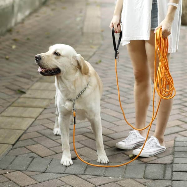 Black 0.8cm Wide 50ft Dog Training Leash Extra Long Dog Leash for Small Medium Large Dogs, Tracking Recall, Outdoor Training