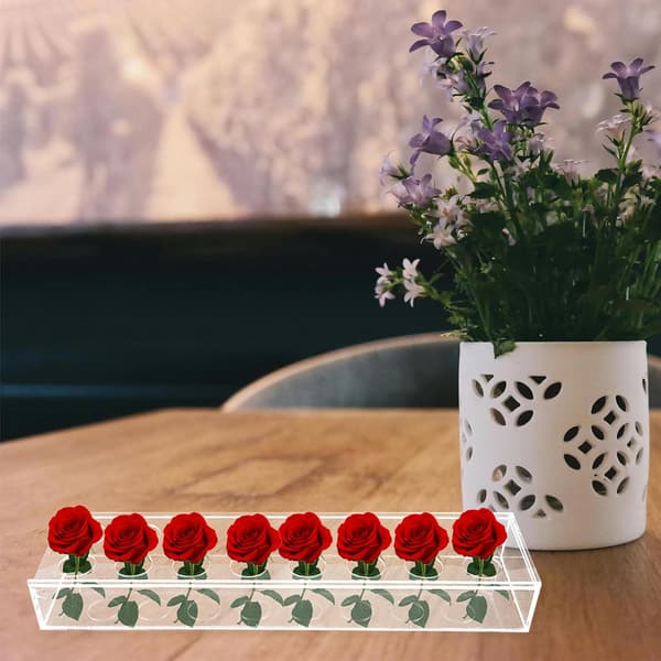 Akryl Blomstervase Rektangulær Moderne Dekorativ Midtpunkt Unik Dekorasjon