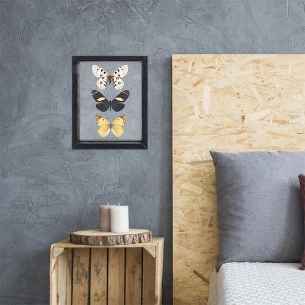 Exemplar Display Frame Plants Display Frame Wood Glass Simple and Generous Appearance Register