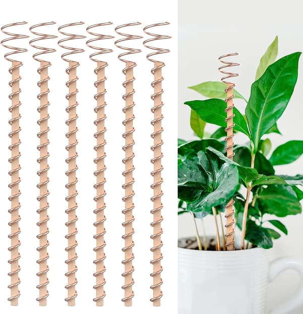 Plant Support, Long Copper Garden Stakes, Electroculture Garden