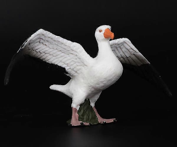 Realistisk Albatros Dekorativ Harpiksmodel Statuer -Sy