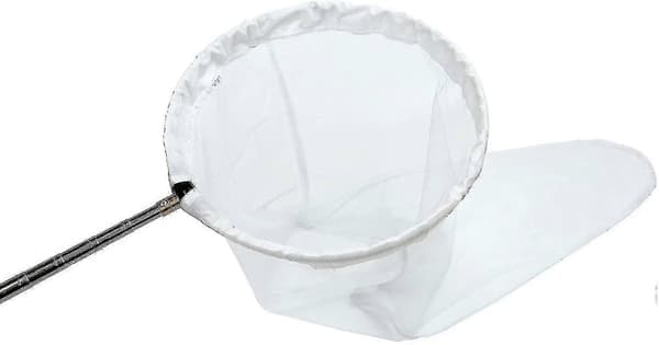 Insect and Butterfly Net, 91 cm Net Depth, Handle Extends to 150 cm (FMY)