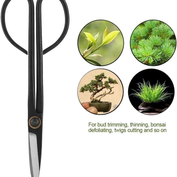 Bonsai Scissors, 205mm Long Handled Shears, Stainless Steel