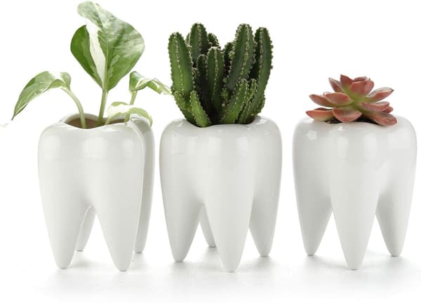 Dent Succulent Pot Set of 3, Small Cactus Plant Ceramic Planter Cachepot Planting Container