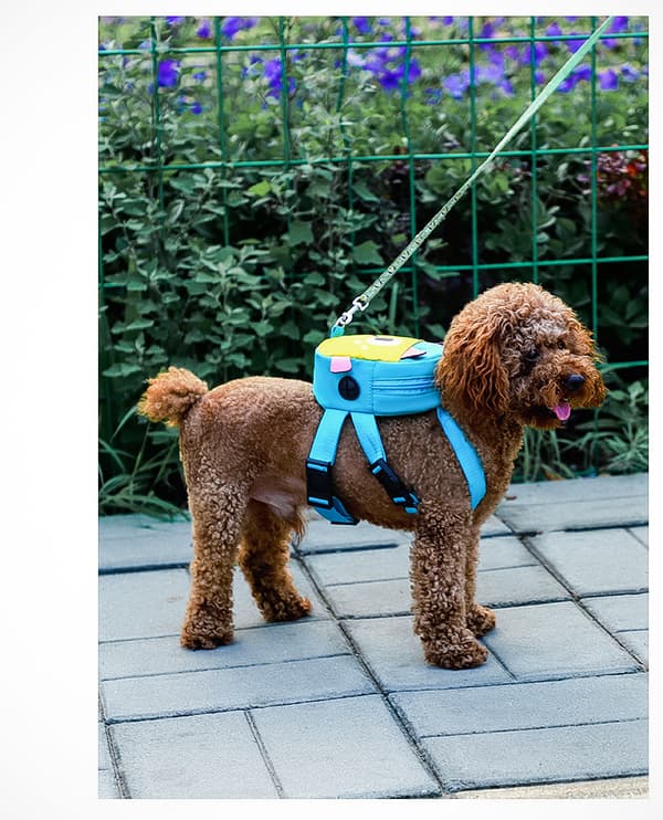 Husdjursväska Mini Bag Liten Hund Sele Väska Liten Hund Composi