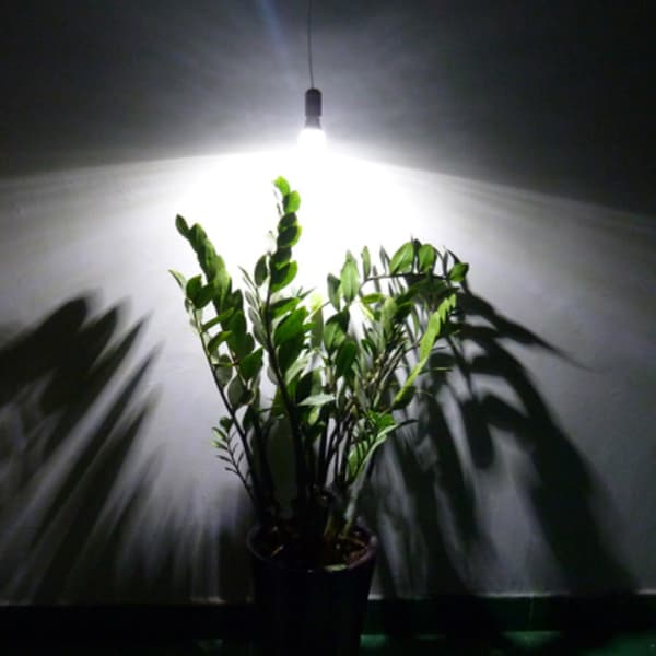 LED-vækstlys, 12W, til blomster, krysantemum, rose, indendørs dyrkning