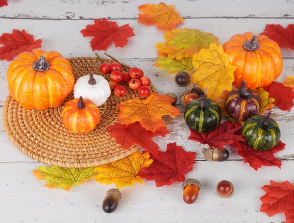 162 stk. Kunstige Efterårslønblade, Høstgræskar, Agern, Kogler og Orange Bærstængler Sæt til Efterår Thanksgiving
