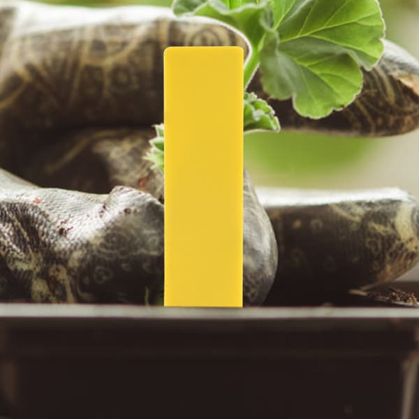 100 gule plantenavnelapper i plast Hageblomsterpinner