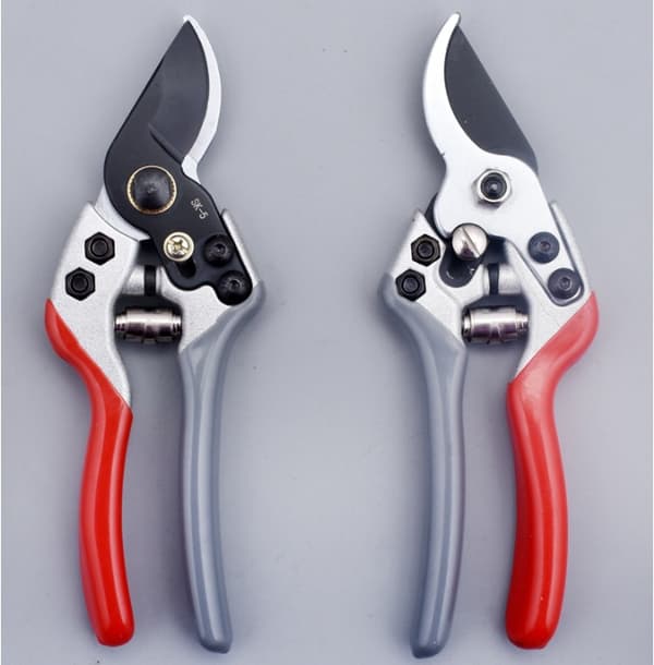 Stainless Steel Garden Shears for Fruit Trees (Red, Grey and White)