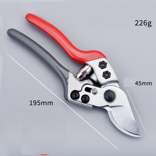 Stainless Steel Garden Shears for Fruit Trees (Red, Grey and White)