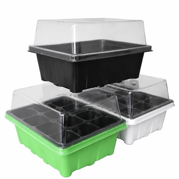 Frøstartkit 12 celler plantebakker, plantevækstsæt til haveformering Bonsai