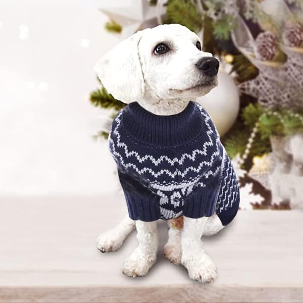 Hundtröja, Hundjuldräkt, Hundvinterdräkt, Hund Chri
