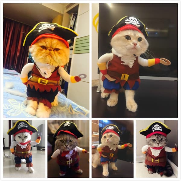 Dog Clothes (S) Standing Dog Pirate Costume