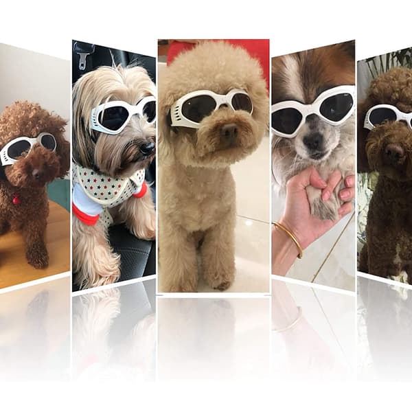 Kæledyrsbriller, letvægtsramme hundekæledyrssolbriller til anti-dug ydeevne og ventilationshuller