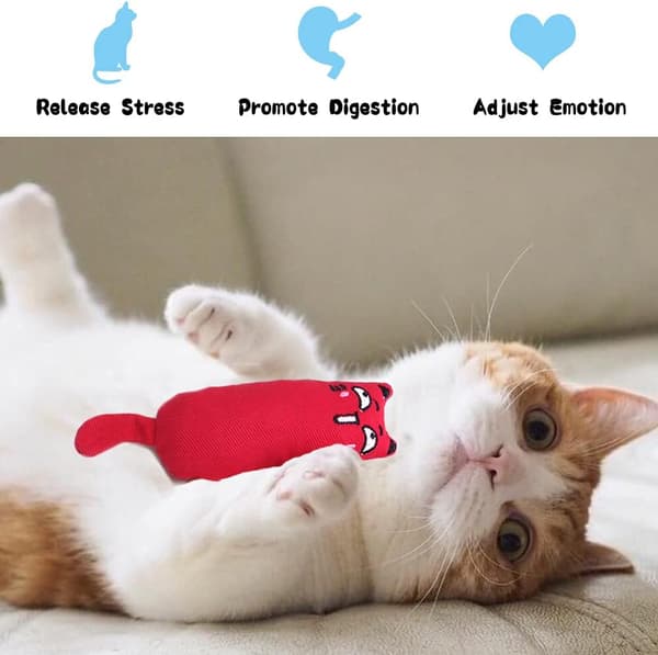 5-pack Catnip Toys for Cats Interactive Cat Chew Toy Kitten Bite Toy S