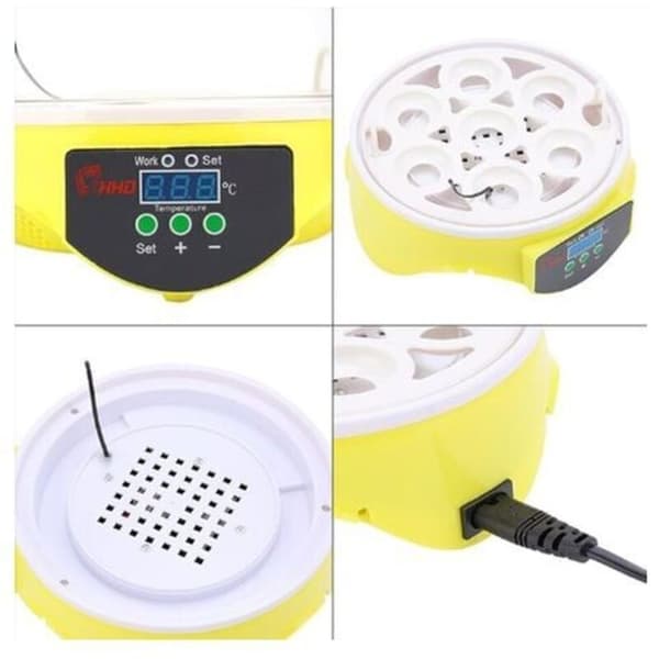 Automatic 7-Egg Incubator with Digital Temperature Control - for Poultry Breeding - Chicken Duck Quail,