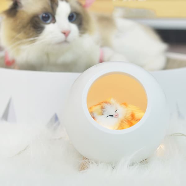 Cute Cat Night Light Small Pet House LED Night Lamp Bedroom Lighting Atmosphere Lamp White