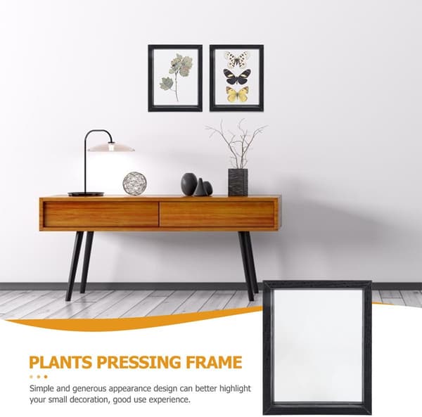 Exemplar Display Frame Plants Display Frame Wood Glass Simple and Generous Appearance Register