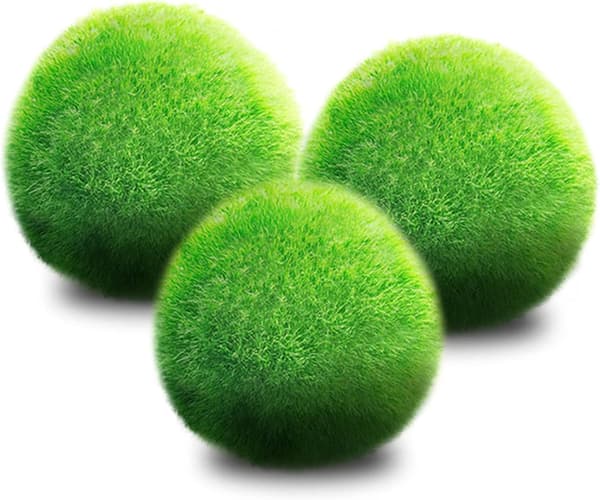 Medium Moss Balls, Aquarium Decor for Aquatic Pets, 3 Balls Per Pack
