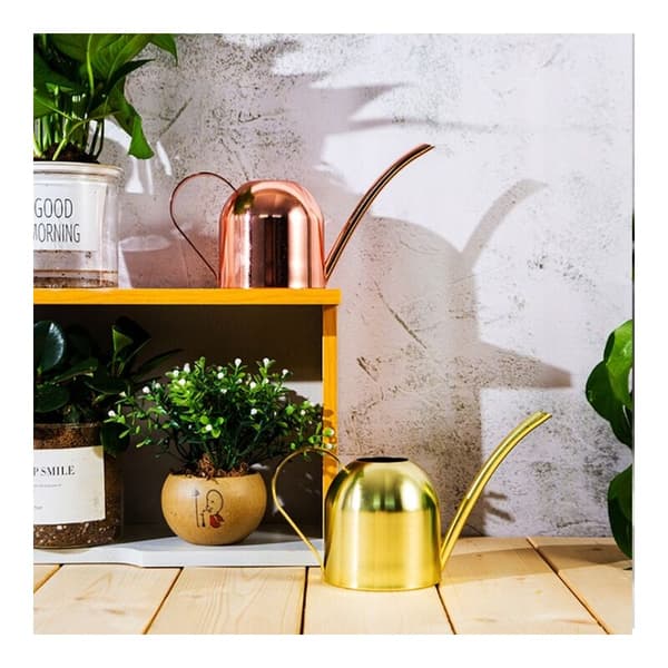 Vandkande i rustfrit stål til vanding af have, blomster og planter, 500 ml (A)