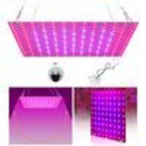 169 LED plantelys plantelys innendørs plantelys KLB