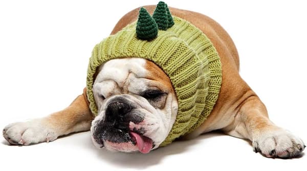 (Medium) Zoo Snoods Mjuka Garn Öronmuffar Hund Dinosaurie Kostym - Lar