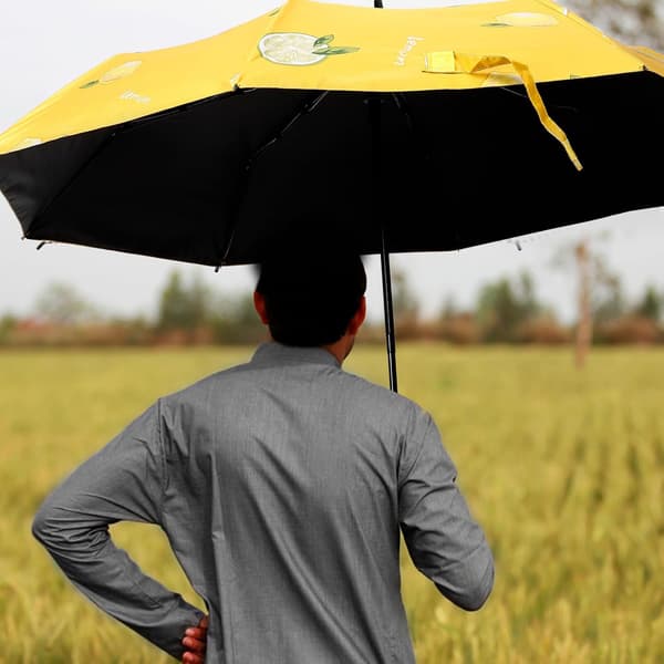 Automatic Printed Folding Sun Umbrella with Black Coating UV Protection, Compact Travel Rain and Sun Umbrella