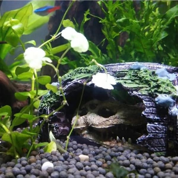 Akvarium knust spand hule dekoration akvarium akvarium harpiks