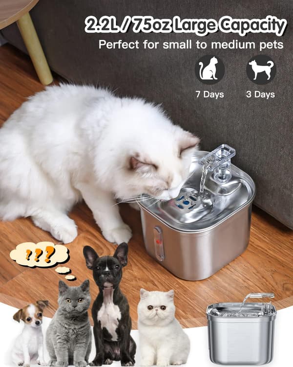 Kattfontän, 2,2L rostfri fontän, ultratyst vattenpump, diskmaskinssäker hundvattendispenser