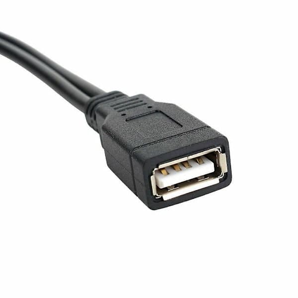 USB 2.0 Hun til 2 Dobbelte USB Han Strømadapter Y-Splitter Kabelstik