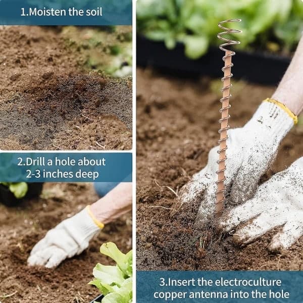 Electroculture Plant Stakes, Copper Wire Plant Support Stakes Electroculture Gardening Copper Coil Antennas for Growing Plants - 6 Pcs