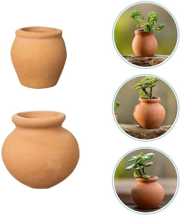 6 stk. sukkulente blomsterpotter til planter Mini havearbejde terrakotta blomsterpotter terrakotta plantekasser