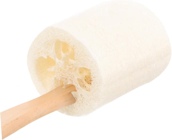 Natural Loofah on a Stick Bath Brush for Home Use, Long-Handled Exfoliating Skin Scrubber