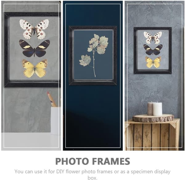 Exemplar Display Frame Plants Display Frame Wood Glass Simple and Generous Appearance Register