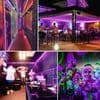 12M UV svart lys LED-stripe 720LEDs lysstripe svart lysstripe for
