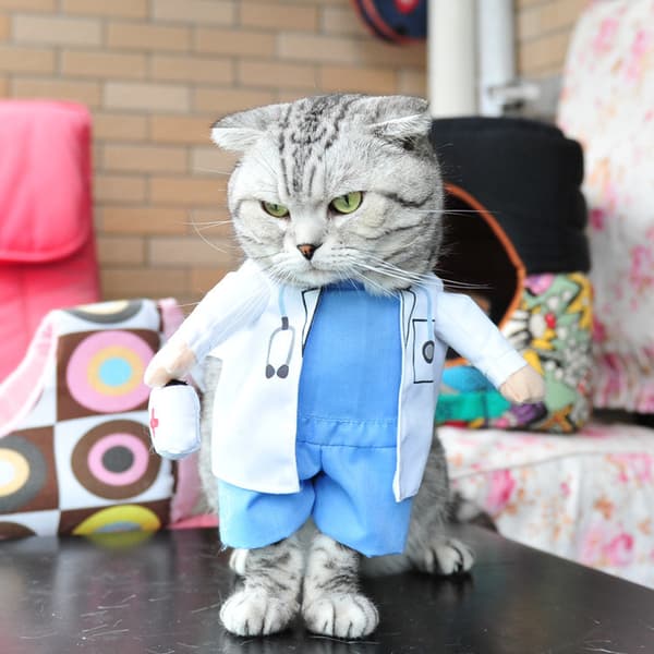 Hunde & Kat Doktor Kostume Kæledyrstøj Denim Bukser