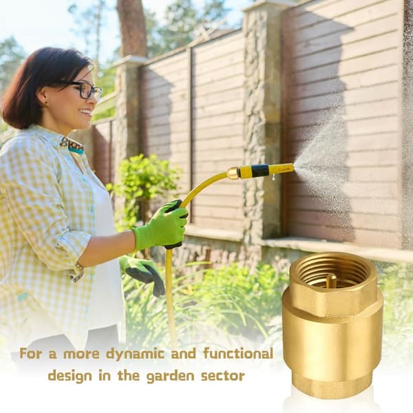 1-inch Brass Check Valve with Internal Thread, DN25 Backflow Preventer Universal with Internal Thread on Both Sides, 1-inch Vertical Brass Check Valve