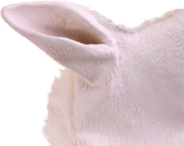 Hestehode Halloween-rekvisitt Lateksgummimaske for kostymefester