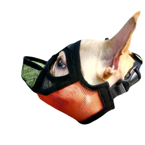 Mesh Dog Muzzle, Short Snout, Adjustable, Breathable, Bulldog Muzzle for Biting, Chewing, Barking, Dog Mask, Orange, M