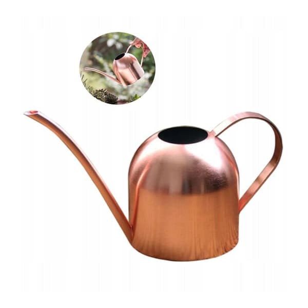 Vandkande i rustfrit stål til vanding af have, blomster og planter, 500 ml (A)